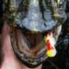 SAVAGE GEAR SEÑUELO PATO SUICIDE DUCK NEGRO 70G - Imagen 2